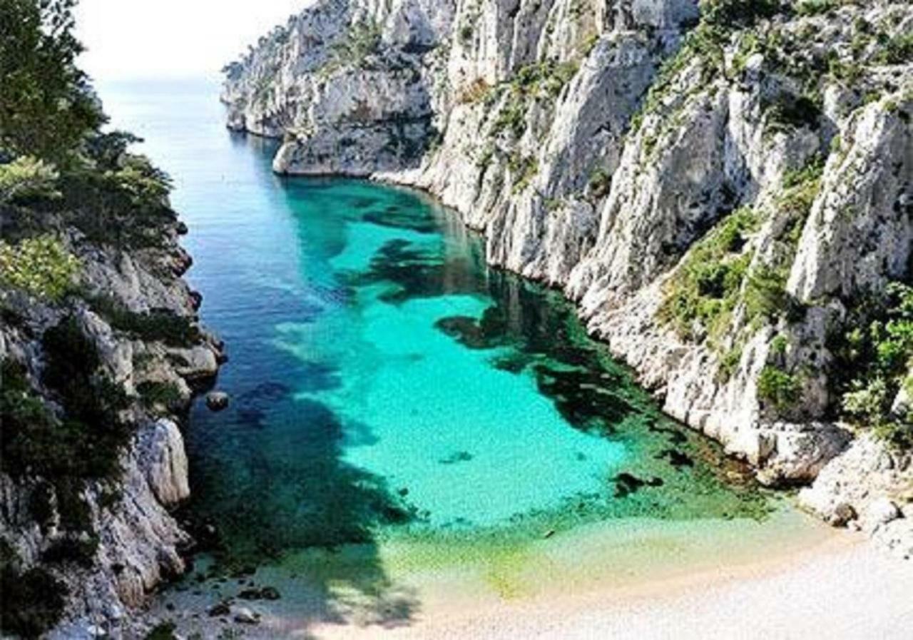 Villa Spacieuse, Climatisation, Piscine, Jardin Paysage, Proche Mer 滨海圣西尔 外观 照片